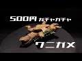 【500円ガチャガチャ】ワニガメ