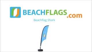 Beachflag Shark, Beach Flag Shark
