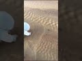 حمام قلي متى بتوب طفله