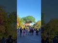 tree 🌳 of life at animal kindom #animalkingdom #disney #disneyworld #shortvideo #shorts #short