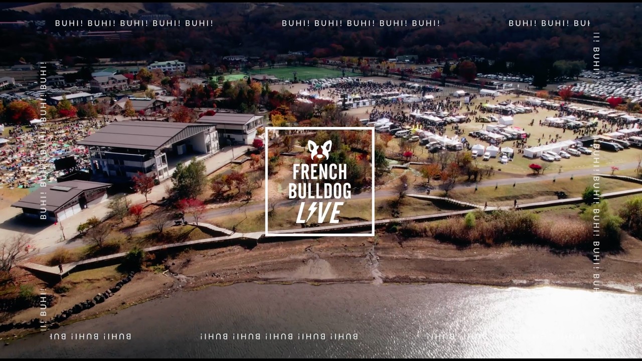 公式】「フレブルLIVE 2025」After Movie ショートver.ーFrench 
