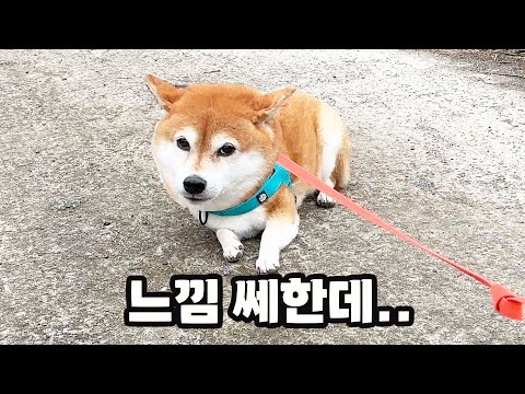 / <strong>올레길</strong> 14번 코스