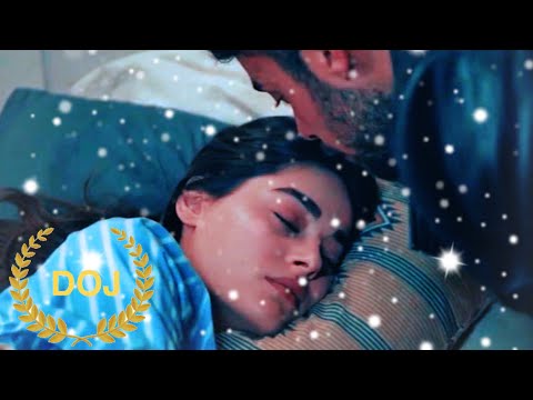 يامان رؤيا بحبك مش هقول تاني وائل جسار    المتوحش 