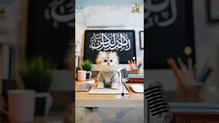 Download Lagu MANUSIA IDOLAKU [NABIYULLAH MUHAMMAD] #kucingsholawatan​  #kucingshalawat​ #kucingsholawat​ MP3