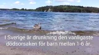 Drunkning Och Barn