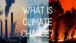 Celebrity What is Climate Change? | STS Performance Task Net Worth