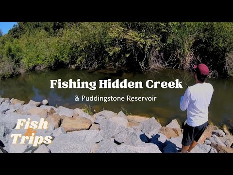 Fishing Hidden Creek & Puddingstone Reservoir