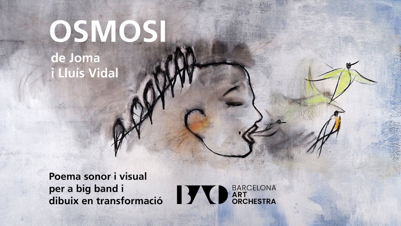 BARCELONA ART ORCHESTRA. Osmosi. I. ECOS DE LLUM. Joma i Lluís Vidal