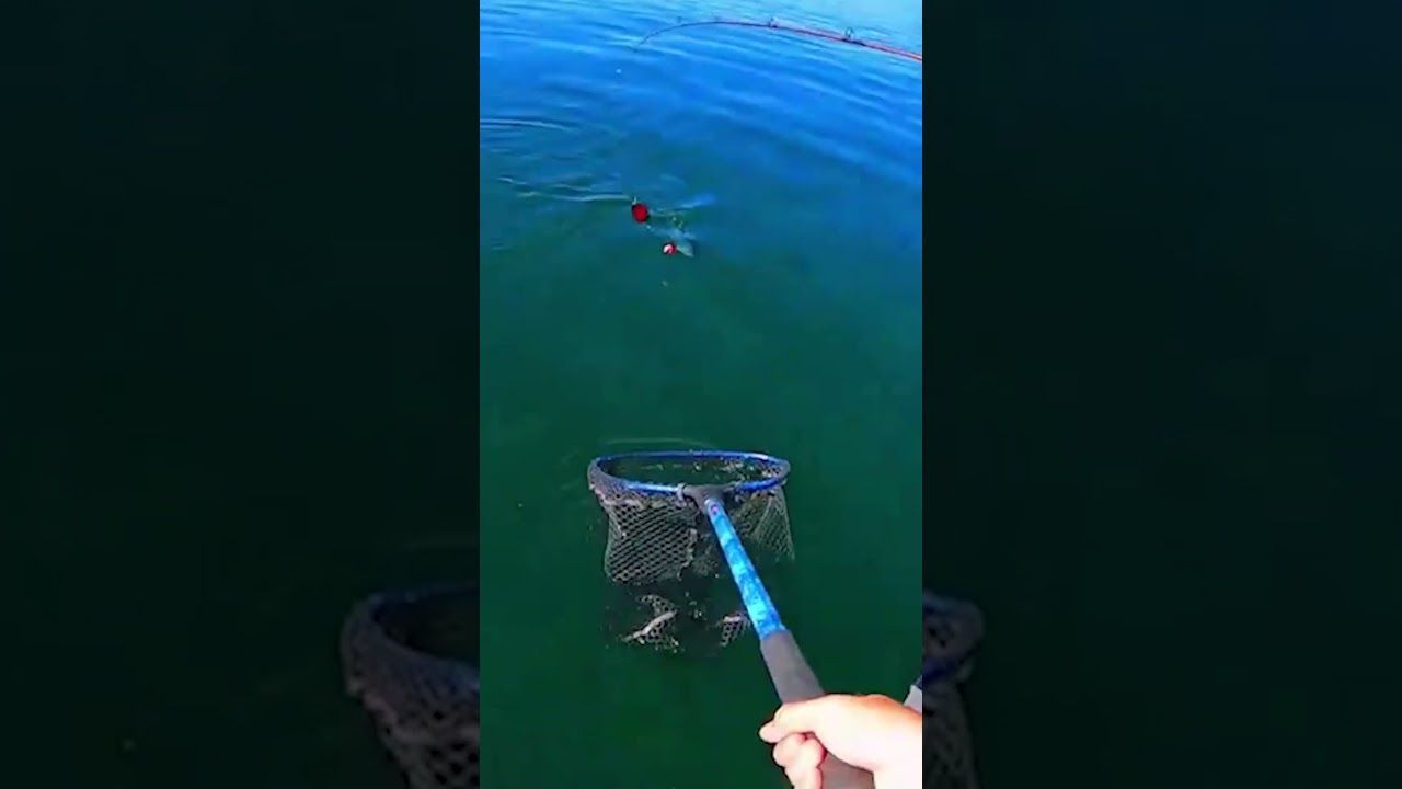 Fishing at strawberry reservoir 