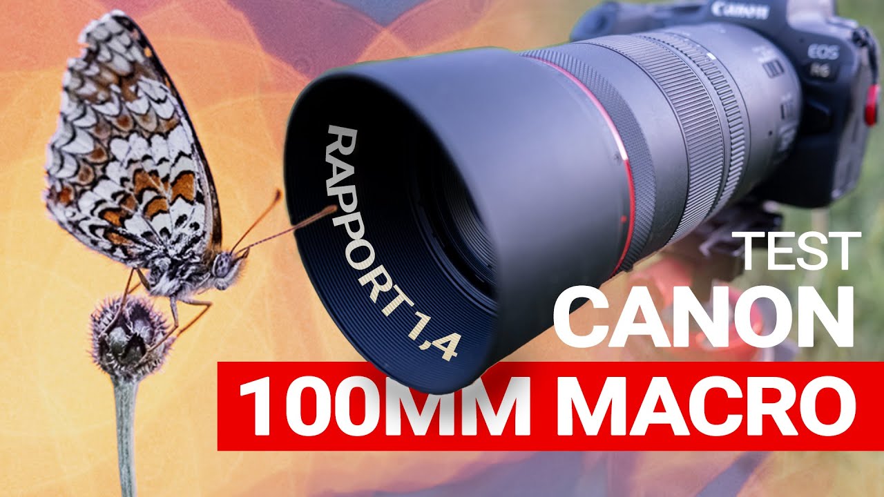 Test Canon RF 100mm macro F2.8 L : SURPRENANT !