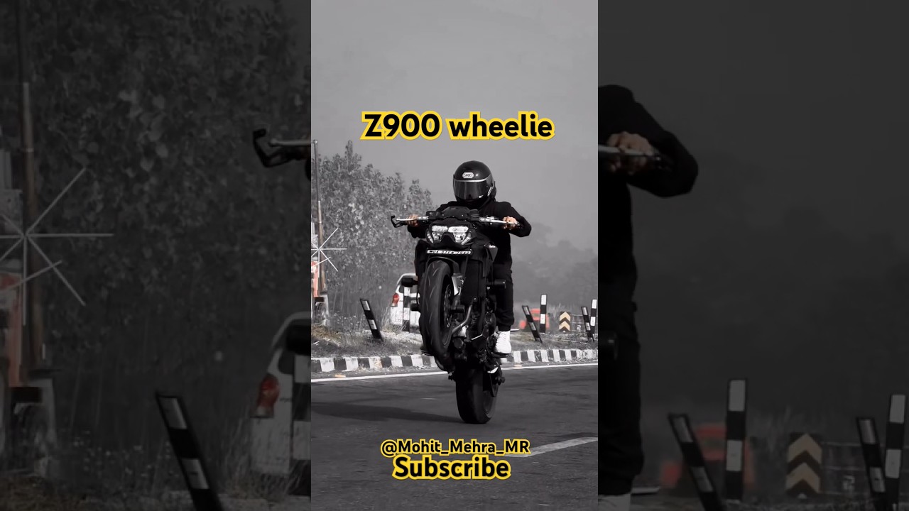 wheelie z900 shorts 