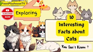10 Interesting  Facts about  Cats by PawsPlayhouseTV 76k Subscriber 1.3 M views  20 views 4 months ago 2 minutes, 46 seconds