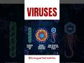 Viruses: Life at the Edge of Living and Non-Living 🦠#viruses #virology #neetbiology #medicalbiology