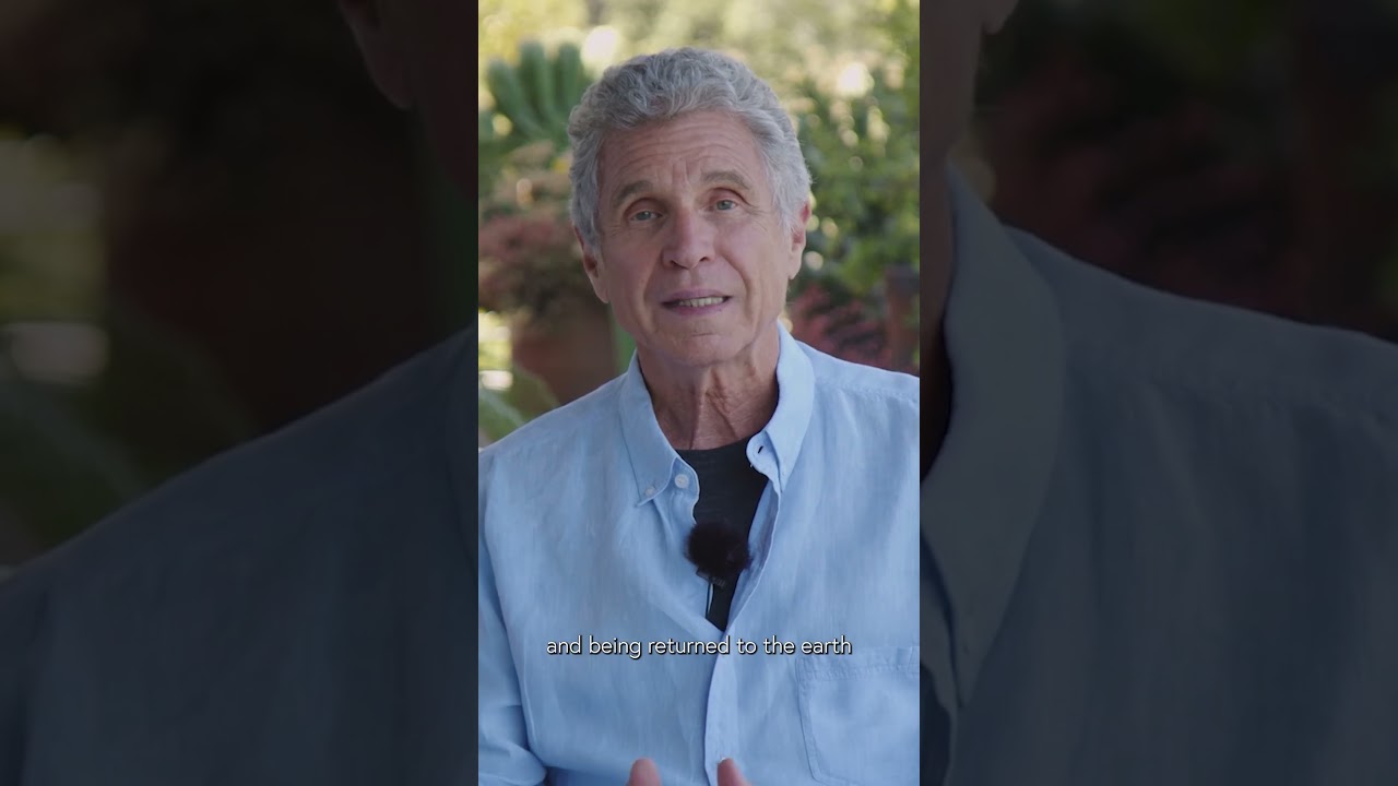 Restore your gut Health✨ 