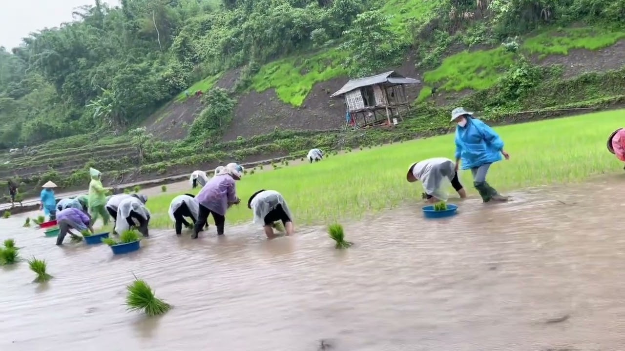 Ban pi nong pú na âu cẳn tỏn le nơ
