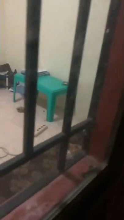 dua sejoli terciduk mesum..🤣🤣🤣