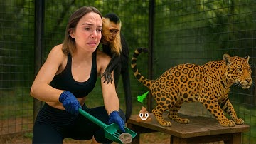 Poop Scooping ALL My Animals!