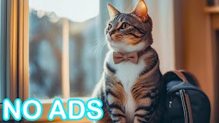 Anti-Anxiety Music for Cats💖 The Ultimate Calming Remedy for Nervous Cats screenshot 5