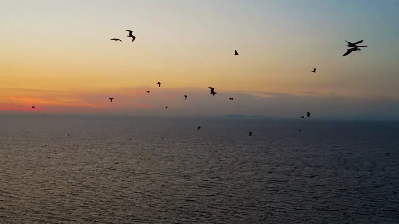 Half hour Loop fall asleep music rain chill sleeping