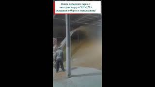 Зернонавантажувач бункерного типу ЗНБ-120