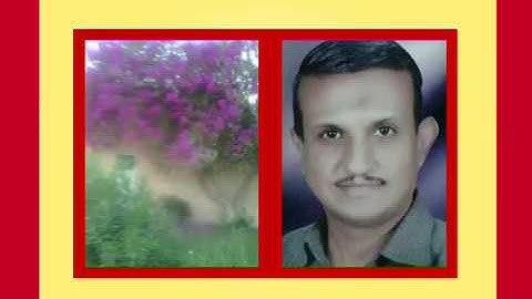 الجزء العشرون سورة العنكبوت(فأمن له لوط) جمال على العارف