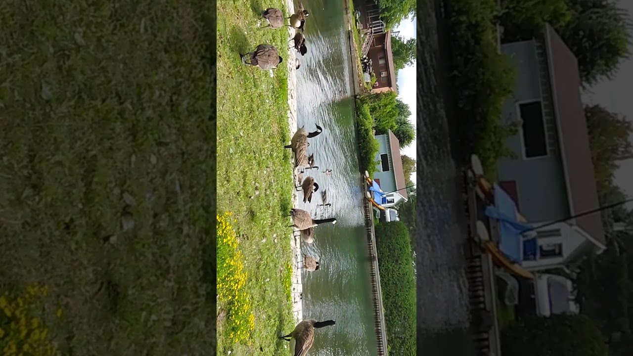 walwal sa lake saintZotique (Quebec,Canada) YouTube