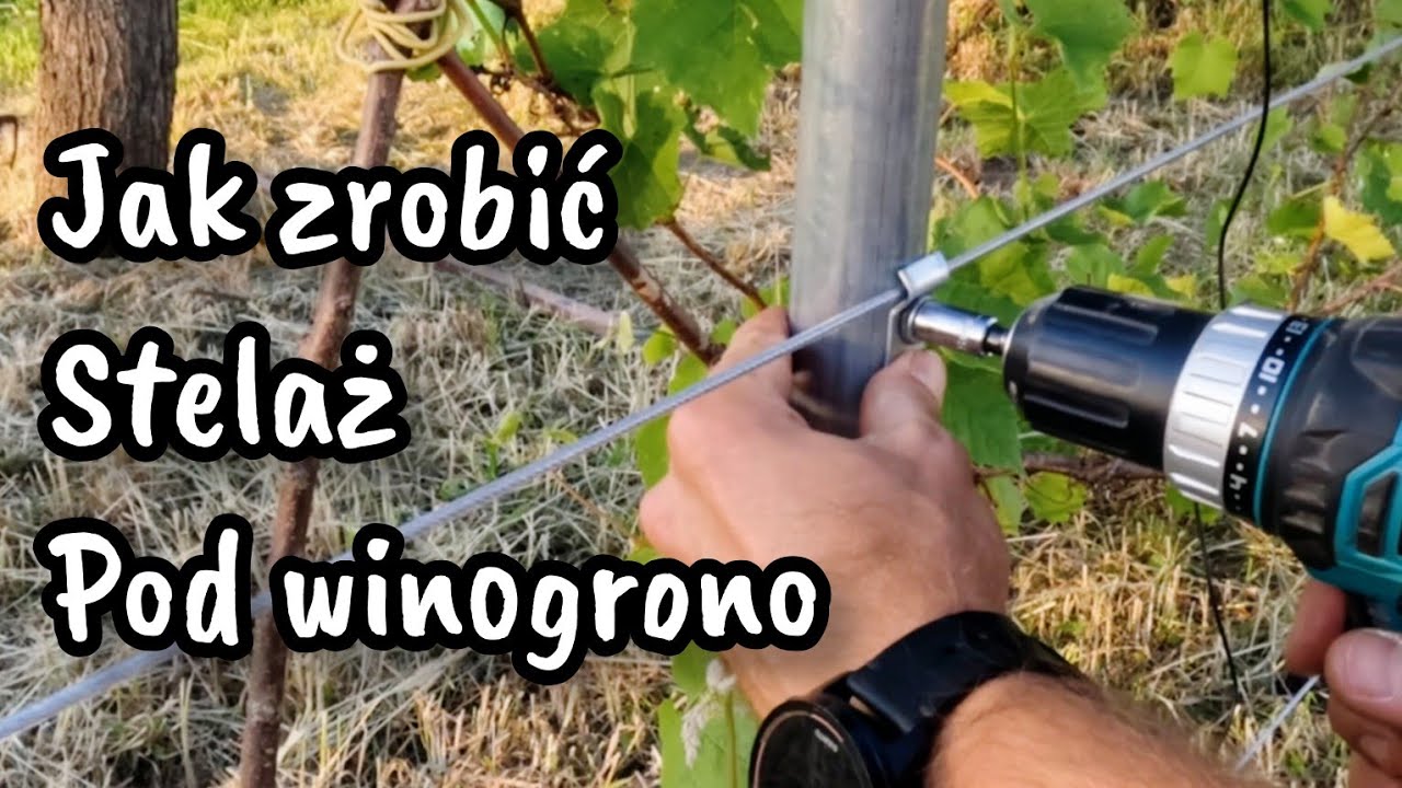 JAK ZBUDOWAĆ KONSTRUKCJĘ POD WINOGRONO #zielonyzakątek