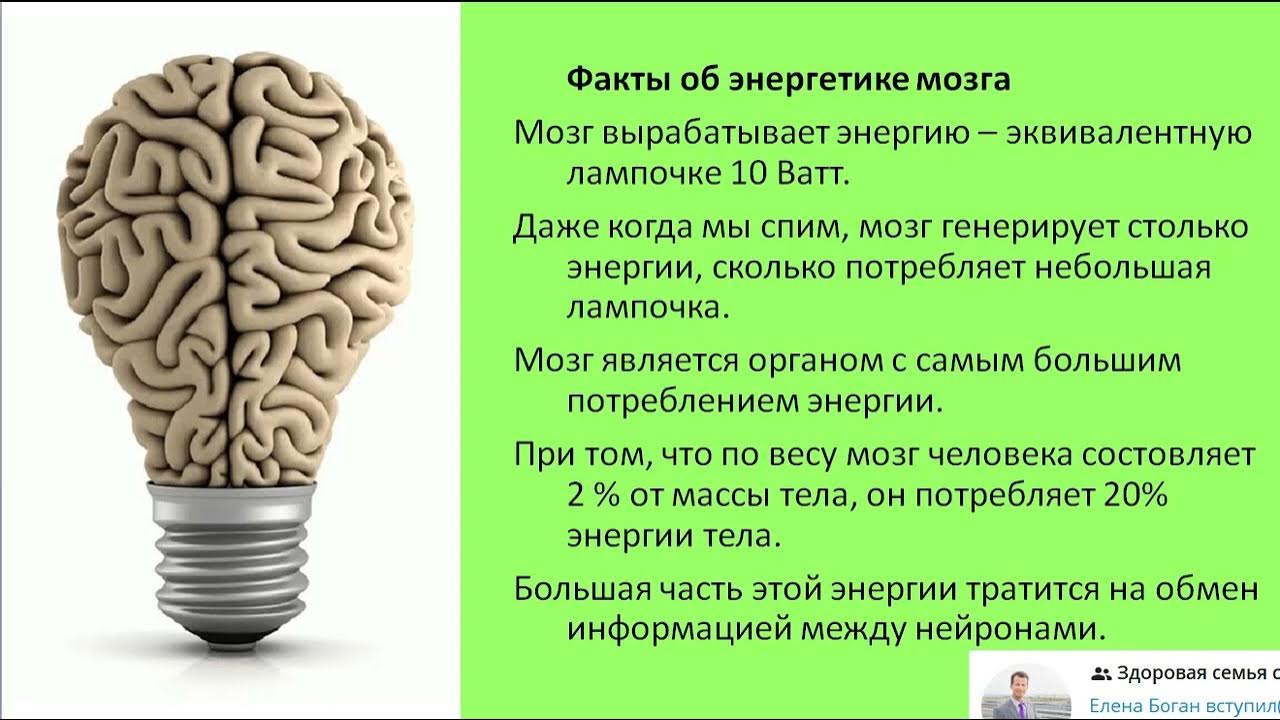 Сколько потребляет мозг. Энергопотребление мозга. Мозг потребляет Глюкозы в %. Векторы щитовидная железа и мозг. Сколько энергии потребляет мозг ребенка в разном возрасте.