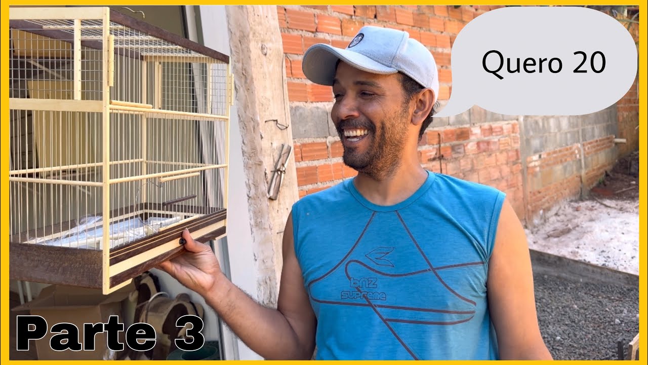 TROQUEI 20 GAIOLAS EM UM COLEIRO PAPA-CAPIM