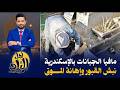 مافيا المقابر تحكم جبانات الإسكندرية نبش القبور وبيع الأعضاء وإهانة حرمة الموتى