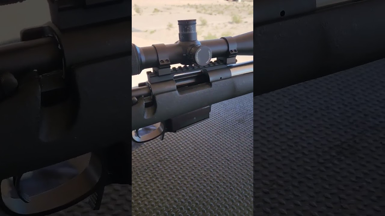 DMR 6.5 hs percision 700 