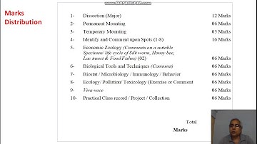B.Sc. III Zoology Practical Exam.