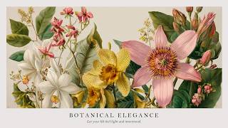 Peaceful Rose Garden Piano Music 🌹 Calming Ambience for Work, Study &amp; Rest