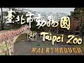 Taipei Zoo: Walkthrough | Travel Taiwan | Zimon Fury Adventure