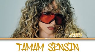 AYDEED - TAMAM SENSİN | Renk Kodlu Şarkı Sözü (Lyrics)