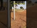 ORR Shameerpet 45km|Agriculture land fr sale|Near Houses|22 Guntas #farmland #redsoil #youtubevideos