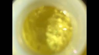 TML Botanical Preview #1