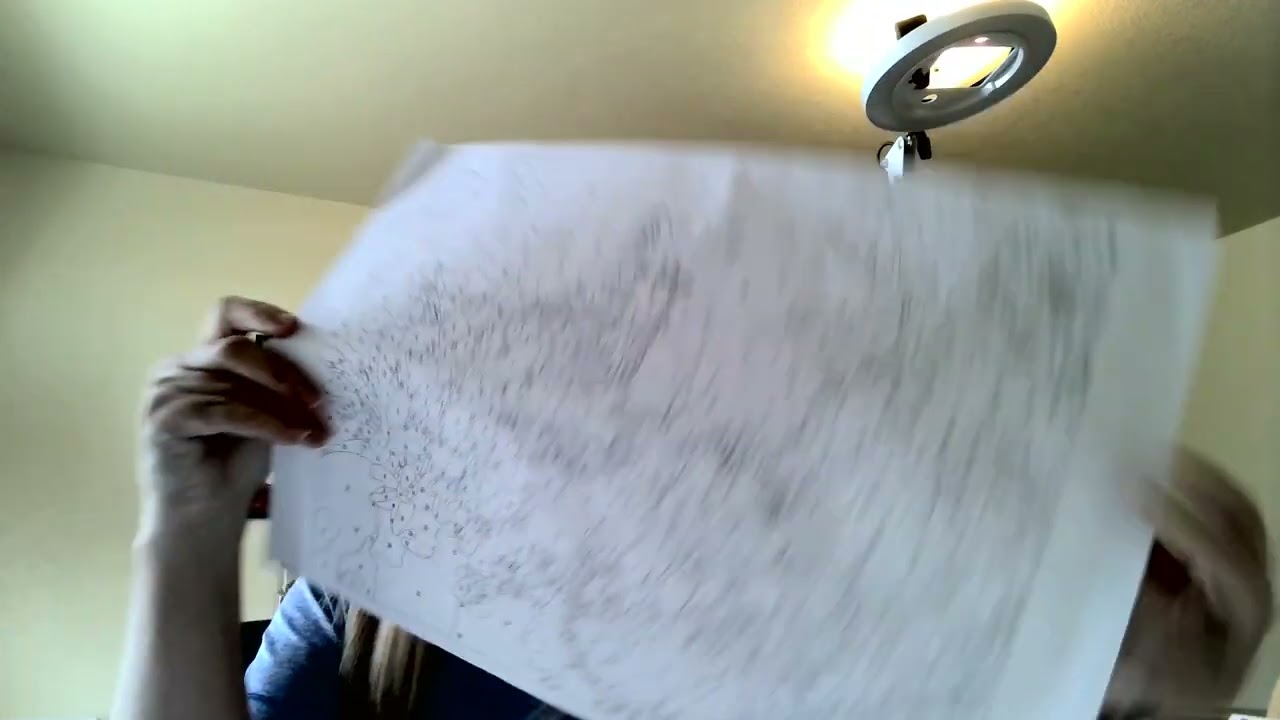 My collaboration with Opalberry PBN