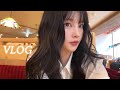아침저녁 병원행,, 배탈로 힘든 14살 치와와 간호 일상😥 오사카 VLOG