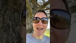 Home Run Termite and Pest Info Episode 1
