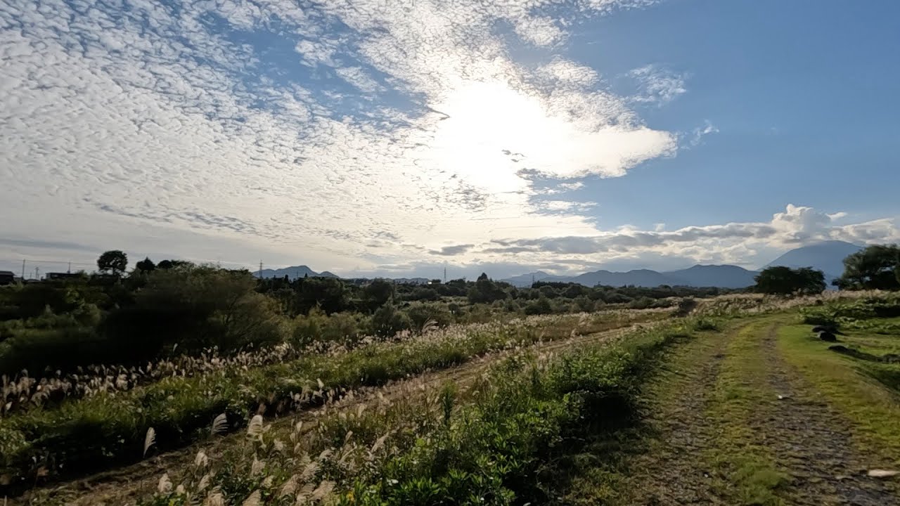 [散歩実況] てつ、イオン今市店から大谷向駅まで歩く。Part 1