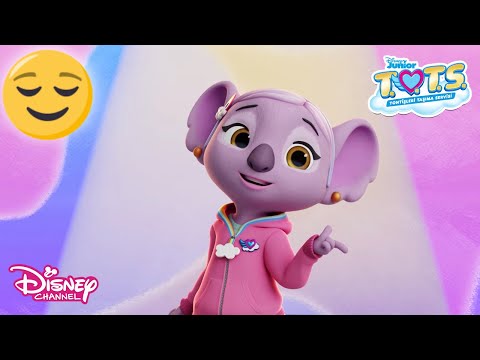 Aile Şarkısı😽🤗 | Tontişleri Taşıma Servisi (T.O.T.S.) | Disney Channel TR