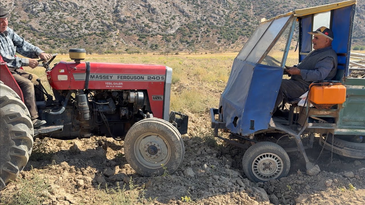 Dedelerin mücadelesi 