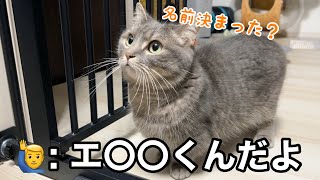 【続報】小さな命の名前が決まりました