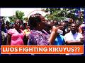 Sharp Fight Between Luos And Kikuyus Has Started, Ruto is Happy