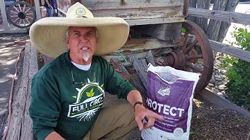 Basic Mulching to Conserve Water