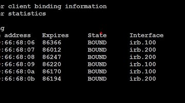 Juniper VSRX training dhcp, static route, nat