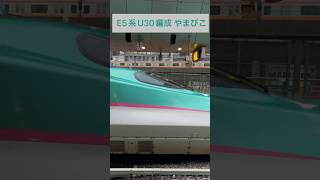 JR東日本 東北新幹線→ E5系U30編成「やまびこ」 (海側・鉄道サイドビュー) 【JR EAST 2023.8 / TRAIN SCAN】