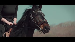 Horse Riding | Cinematic Short Film | SONY A7SIII