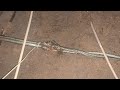 Electrical issue Whiskey For The Horse Jeffs820 mp3